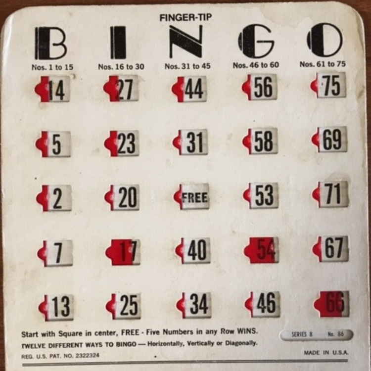 Bingo Cards (disposable/100)